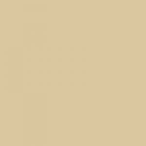 Entrydoor Beige Designer Paint Color